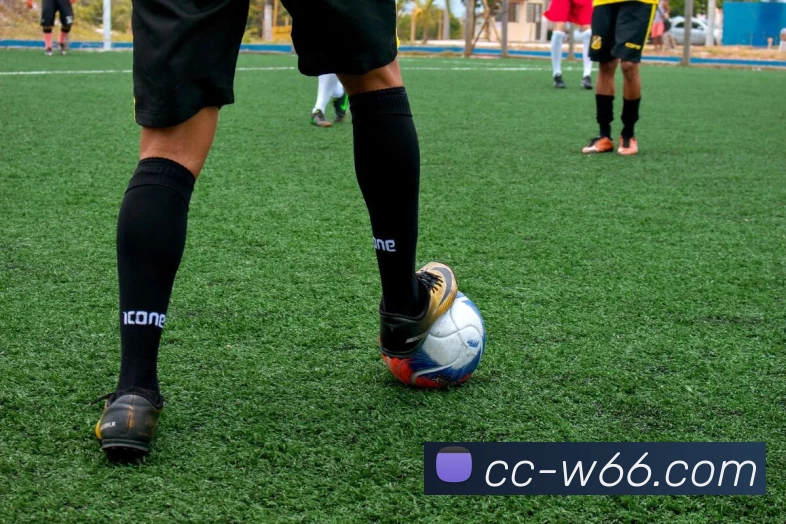 利来国际APP 封面图